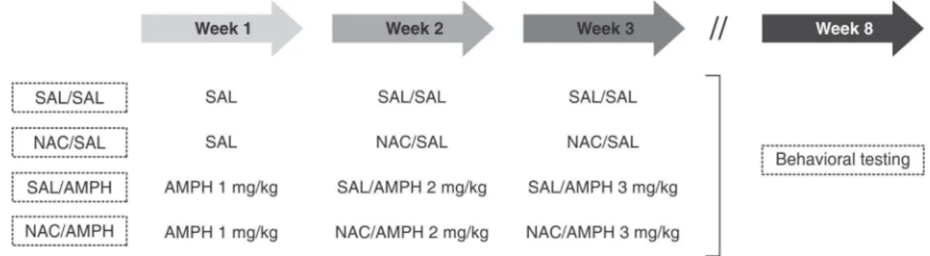 Figure 1 Experimental design. Drugs were administered intraperitoneally three times a week for 3 weeks