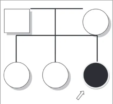 Figure 1 –  $&amp;VIDPLO\KHUHGRJUDP