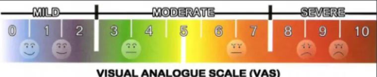 Figure 1 –  Visual analogue pain scale.