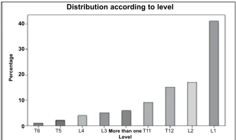 Figure 1 –  Distribution of fractures according to level.