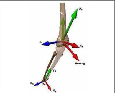Figure  1  –  Positioning of the clusters, of the anatomical  markers (left) and the convention adopted for measuring the  joint angles (right).