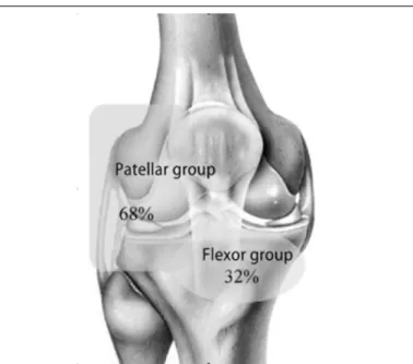 Figure 5 – Relationship between pain and sensitivity abnormalities.