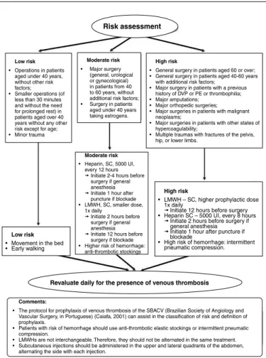 Figure 5 – Diretrizes (Guidelines) Project – DVT Guideline. J Vasc Br. 2005;4(3):Supl 3.