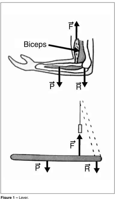 Figure 1 – Lever.