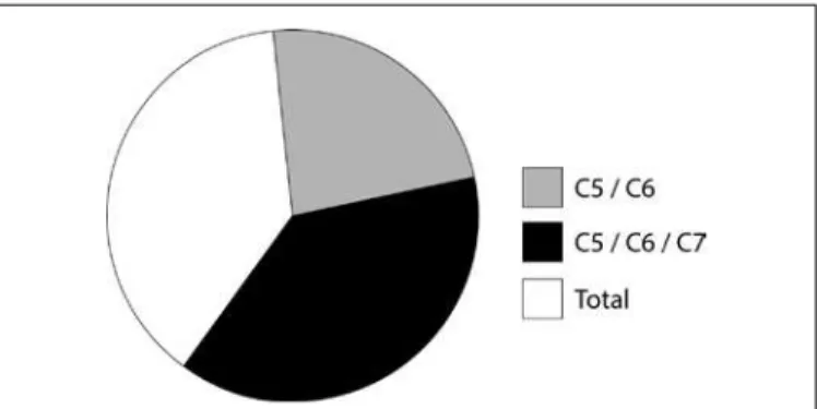 Figure 1 –  Patient distribution according to the anatomical classification of the lesions.