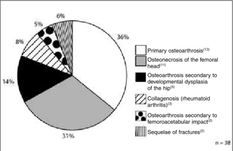 Figure 1 –  Etiological distribution of the sample studied (juiz de Fora, MG, 2011).