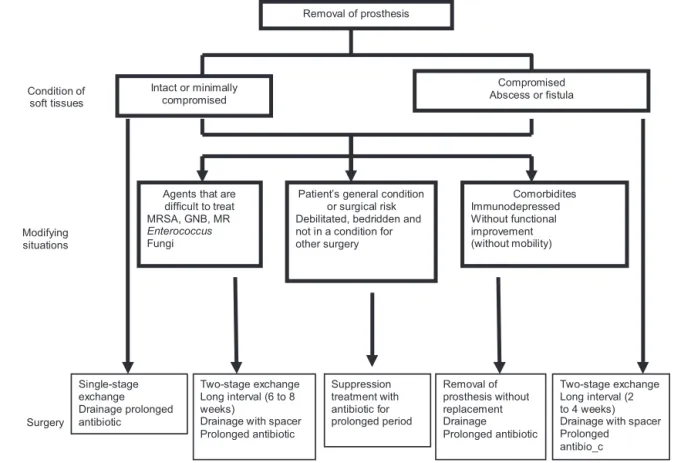 Fig. 5 – Algorithm for treating infection that is not qualified for debridement + retention.