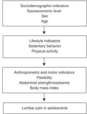 Fig. 1 – Hierarchical model of factors associated with nonspecific lumbar pain in adolescents.
