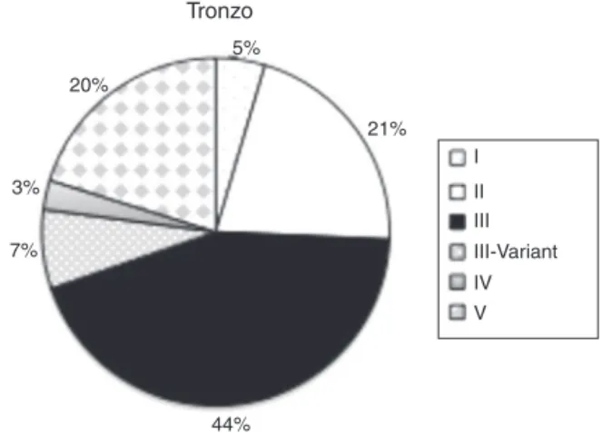 Fig. 7 – Percentage distribution of the implants used for fracture fixation.