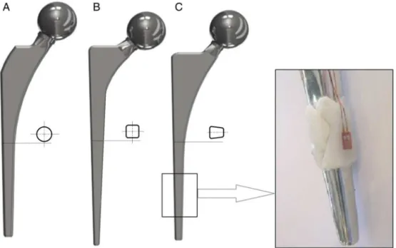 Fig. 1 – The three prosthetic models. From left to right, the conical nail A, double-tapered nail B and triple-tapered C-Stem.