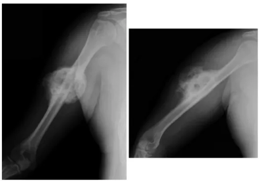 Fig. 5 – Postoperative radiographs.