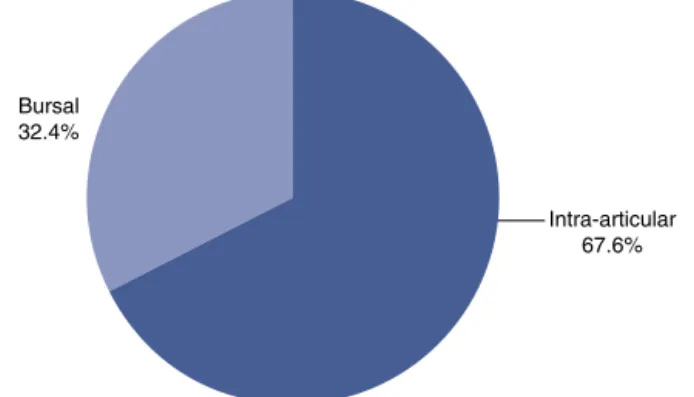 Fig. 1 – Distribution of the partial rotator cuff tears among the athletes.