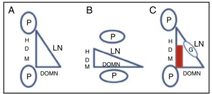 Fig. 3 – Comparative schematic appearance of the safety zones for the spinal nerve. (A) Choy et al.; (B) Mirkovic et al.;