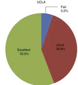 Fig. 6 – Result from postoperative evaluation according to UCLA scale, as adapted to the Portuguese language.