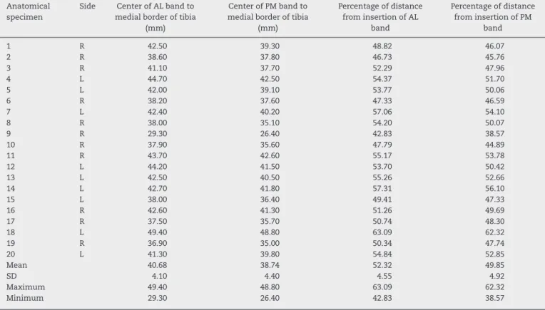Table 2 – Length of the facet of the PCL and distance from the most proximal point of the facet to the centers of the insertions of the AL and PM bands of the PCL, on radiographs in lateral view.