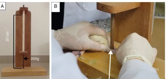 Fig. 2 – Apparatus for performing muscle lesion.