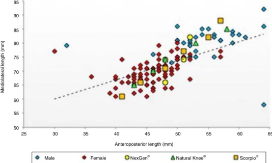Fig. 3 – Relation between implants and proximal tibia.
