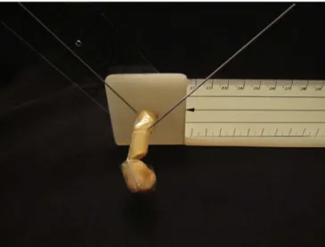 Fig. 2 – One-millimeter K wires bent at 15, 30, 45, 60, 75 and 90 ◦ .