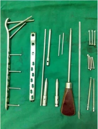 Fig. 1 – Proximal femur locking compression plate with screws set.