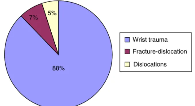 Fig. 1 – Total percentage of medical records, according to pathologies.
