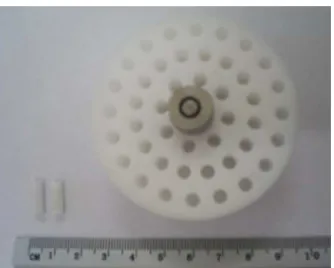 Fig. 1 – PLDLA-co-TMC/PVA hydrogel pins and scaffold used for making the devices.