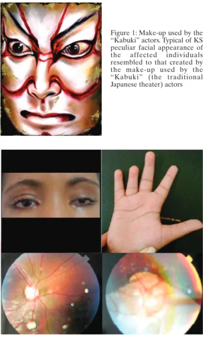 Figure 1: Make-up used by the