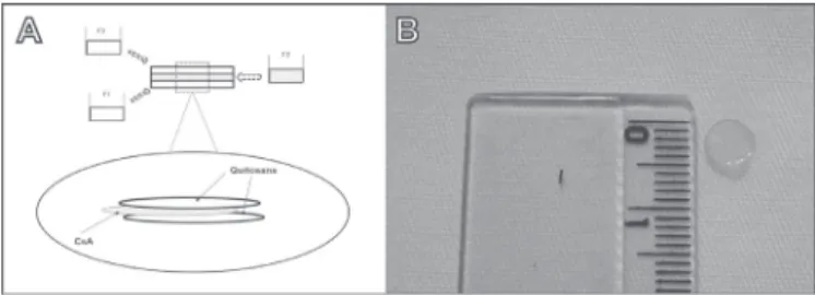 Figure 1: A.  Preparation of chitosan film containing CsA;  B. Chitosan film containing CsA.