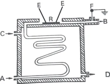 Figure 2: Detection of alpha(2)-adrenergic receptor in chicken reti- reti-na; western blot for alpha(2)-adrenergic receptor subtype A (A) and subtype C; (B) in retinas from chick from post-hatched animals (n = 3); only alpha(2)-adrenergic receptor subtype 