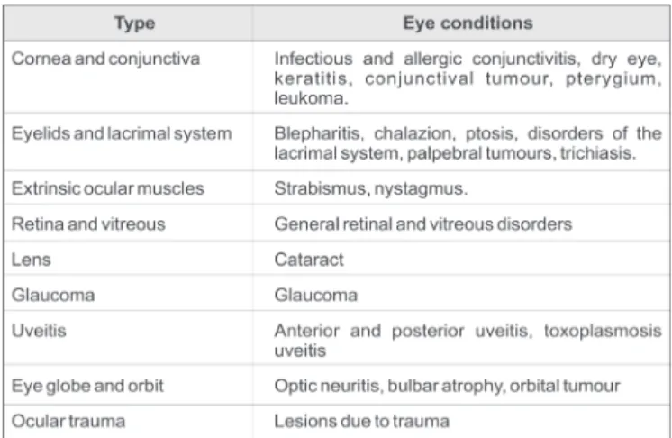 Figure 1. Classification of visual impairment according to the World Health Organisation