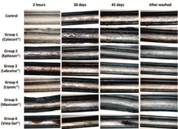 Figure  1:  Photographic  images  of  the  silicone  tubes  in  2  hours,  30 days and 45 days (pre and post cleaning): Control: irregular surface with pores and free lumen during all the period of experimentation;