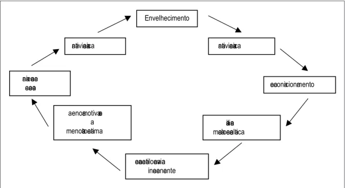 Fig. 1 – O ciclo vicioso do envelhecimento