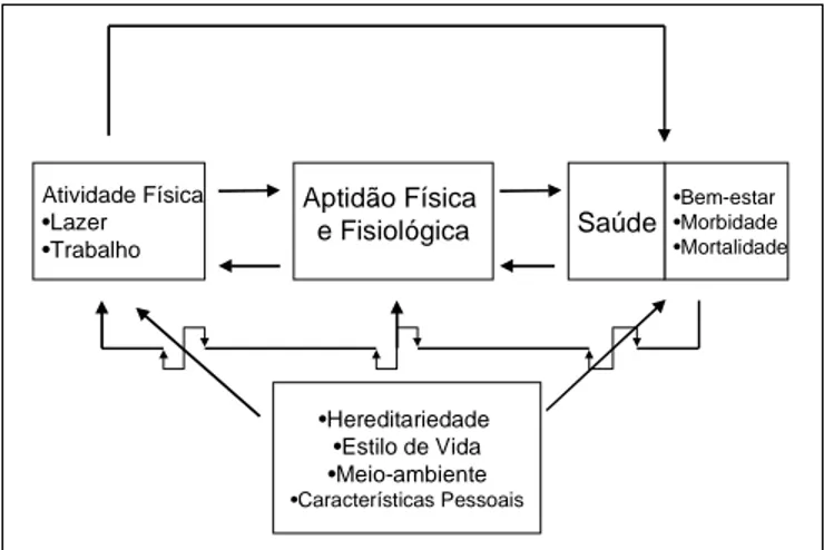 Fig. 3 – Um modelo descrevendo um esquema complexo na relação entre atividade física habitual, aptidão física e saúde