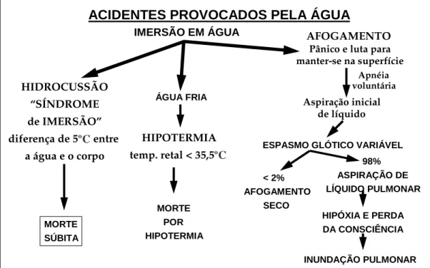 Fig. 1 – Mostra os tipos de acidentes na água e as fases de um afogamento 21