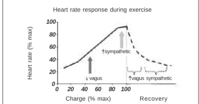 Figure 2 in the paper “Importance of heart rate analysis in exercise tolerance test” (Rev Bras Med Esporte 2003; 9(4): 252-256) was also published with errors, the correct version being published below.