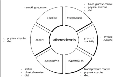 Fig. 1 – Therapeutical options aiming at minimizing modifiable risk factors