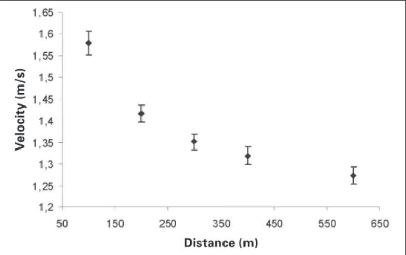 Fig. 3 – Average values + standard deviation of velocity obtained during the performance of maximal efforts at distances of 100 m, 200 m, 300 m, 400 m and 600 m in crawl style