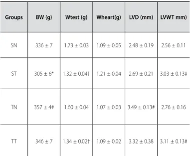 Table 1. Body weight (BW), testicle weight (WTest), heart weight (Wheart), left ventricle  diameter (LVD) and left ventricular wall thickness(LVWT) of the animals from the sedentary  (SN), sedentary treated (ST), trained (TN) and trained and treated (TT) g