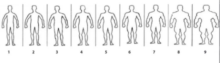 Figure 1. Set of silhouettes proposed by Lima et al., 2007.