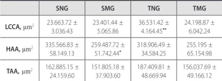 Table 2. Mean values concerning the luminal diameter of the arteries. Data as  mean± SD
