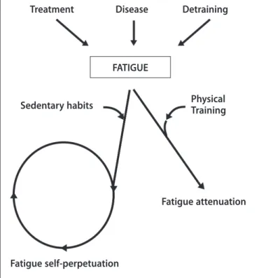 Figure 1. Fatigue self-perpetuation cycle (20) .