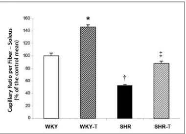 Figure 4 presents the protein levels evaluated by western blot  of Bcl-2, Bcl-x, Bad and p-Bad ser112  in the soleus muscle