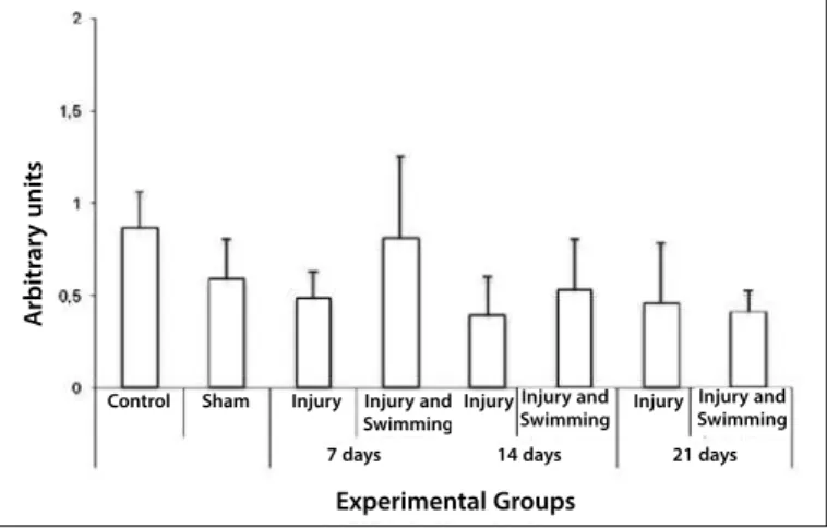 Figure 1. Comparative analysis of RNAm of MyoD in the experimental groups  assessed (p ≤ 0.05)