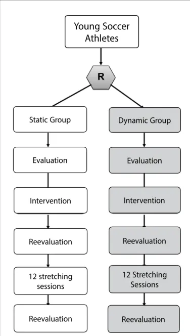 Figure 1. Study’s organizational chart.