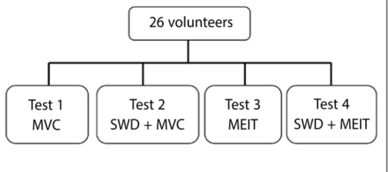 Figure 1. Chart of the groups and their respective procedures. 