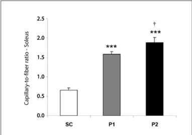Figure 3. Effect of different volume of aerobic ET on the EPC function assessed by the  capacity of formation of colony-forming unit