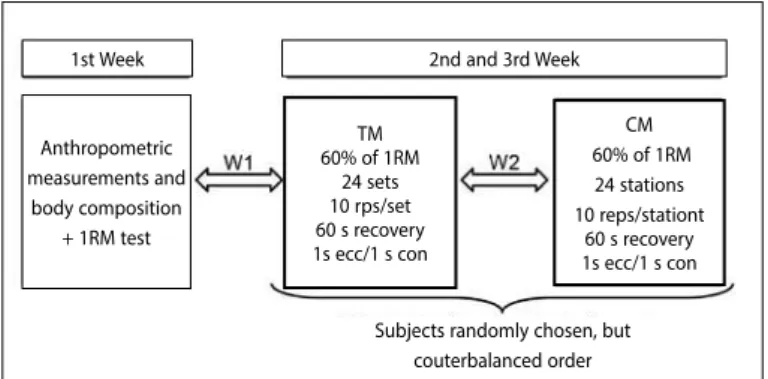 Figure 1. Experimental outlining.