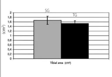 Figure 5. Evaluation of the tibial area of the experimental groups.