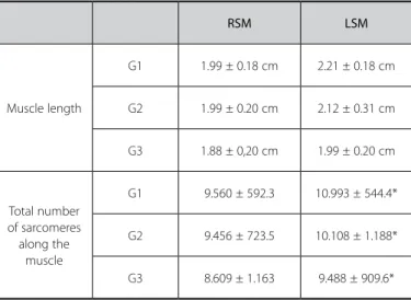 Table 2. Results on muscle length and total number of sarcomeres in soleus muscle  relating to the group studied and comparing values from right soleus muscle (RSM)  and left soleus muscle (LSM).