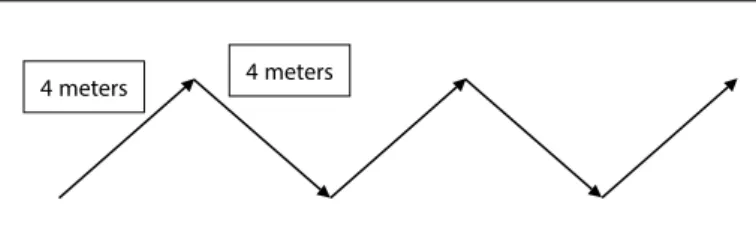 Figure 1. Representation of the path to be completed by the participant during the  agility test (Little and Williams 12 ).