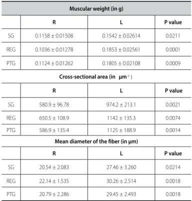 Table 1. Means and standard deviation of the muscular weight, cross-sectional area  and mean diameter of the ibers variables, according to the experimental group,  compared between right soleus (R) and left soleus muscle (l) values.